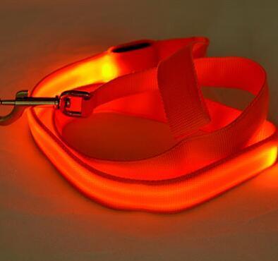 Bouledogue Avenue Pour Bouli Orange / Width 25mm Laisse Lumineuse LED