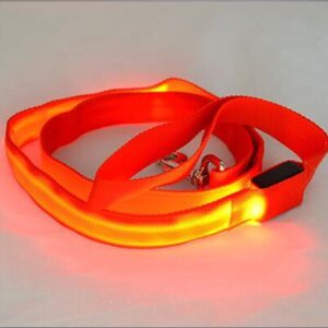 Bouledogue Avenue Pour Bouli Red / Width 25mm Laisse Lumineuse LED