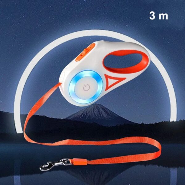 Laisse Rétractable Automatique avec LED – Promenades Sécurisées pour Bouledogue Français Dog Supplies Orange 3m