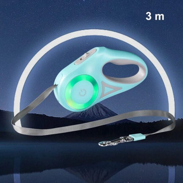 Laisse Rétractable Automatique avec LED – Promenades Sécurisées pour Bouledogue Français Dog Supplies Vert 3m