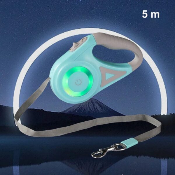 Laisse Rétractable Automatique avec LED – Promenades Sécurisées pour Bouledogue Français Dog Supplies Vert 5m