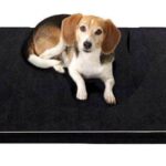 Bouledogue Avenue Lit Coussin à Mémoire de Forme pour chien