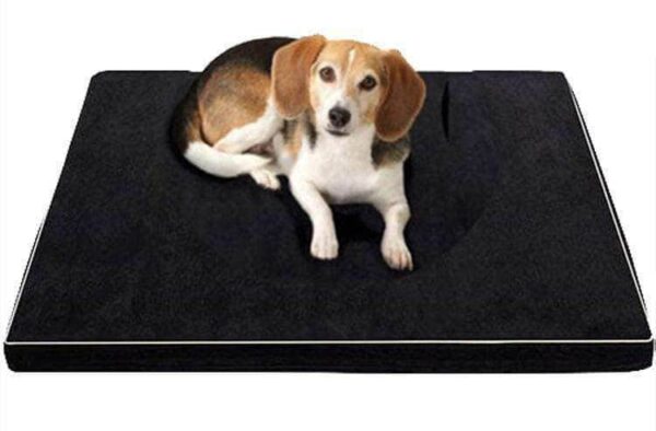 lit-coussin-a-memoire-de-forme-pour-chien-bouledogue-avenue-13819279081559 Bouledogue Avenue Lit Coussin à Mémoire de Forme pour chien