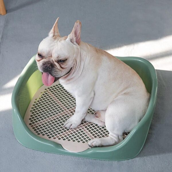 Bouledogue Avenue Pour Bouli Litière Pratique pour Bouledogue à fond amovible
