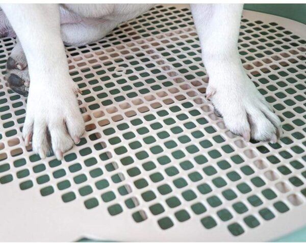 Bouledogue Avenue Pour Bouli Litière Pratique pour Bouledogue à fond amovible