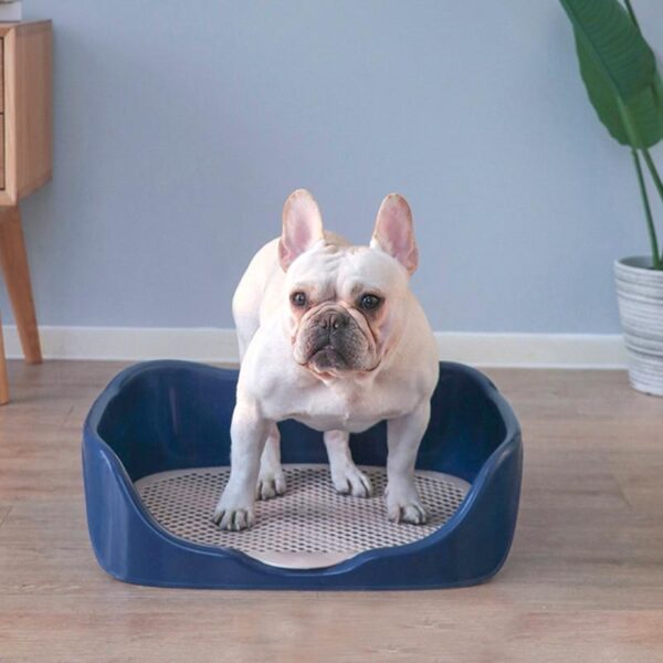 Bouledogue Avenue Pour Bouli Litière Pratique pour Bouledogue à fond amovible