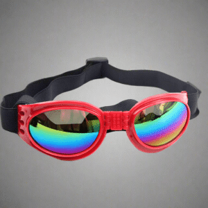 Lunettes de Soleil Pour Chien 12 Lunettes de Soleil Pour Chien Pour Bouli Rouge