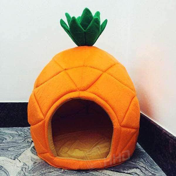Bouledogue Avenue Maison Ananas pour Chien