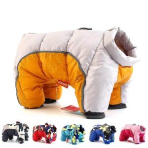 Bouledogue Avenue Pour Bouli Manteau Bouledogue Francais (Hiver 2020 / 2021)