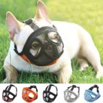 Bouledogue Avenue Pour Bouli Muselière pour Bouledogue Français