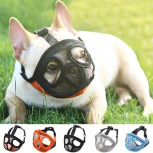 Bouledogue Avenue Pour Bouli Muselière pour Bouledogue Français