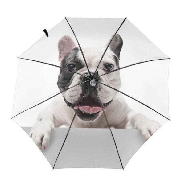 Bouledogue Avenue Inside Print 7 Parapluie Décor Bouledogue