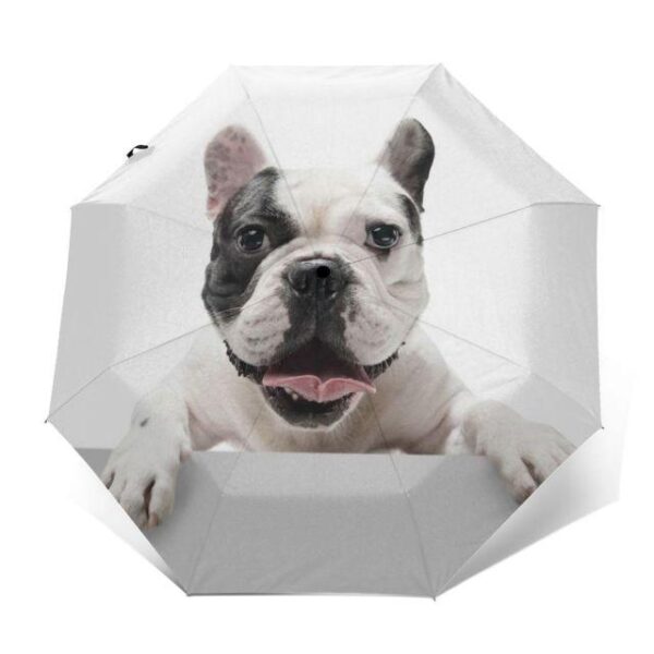 Bouledogue Avenue Outer Print 7 Parapluie Décor Bouledogue