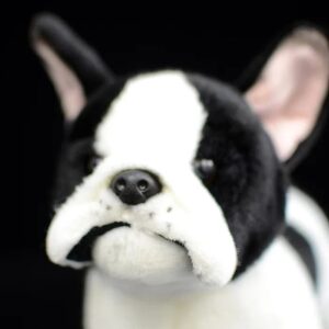 Peluche Bouledogue Français Pour Bouli