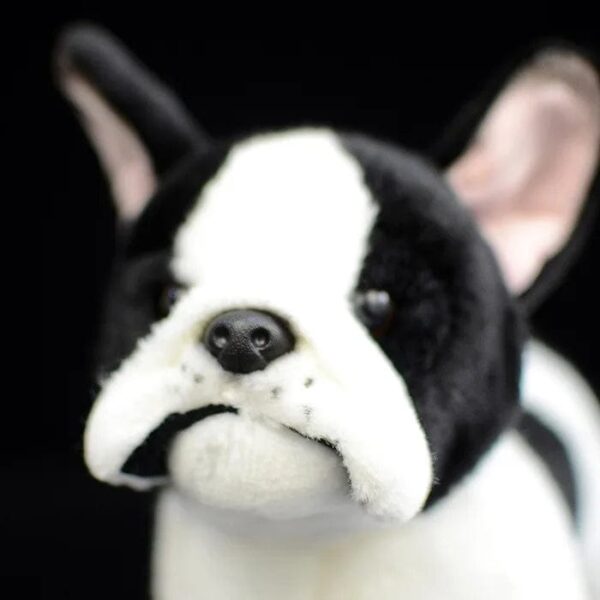 Peluche Bouledogue Français Pour Bouli