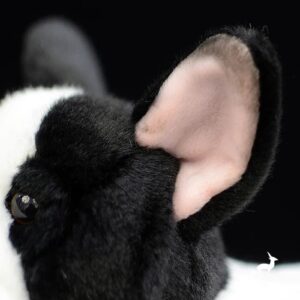 Peluche Bouledogue Français Pour Bouli