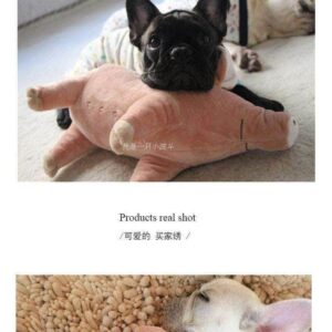 Bouledogue Avenue Pour Bouli Peluche Cochon