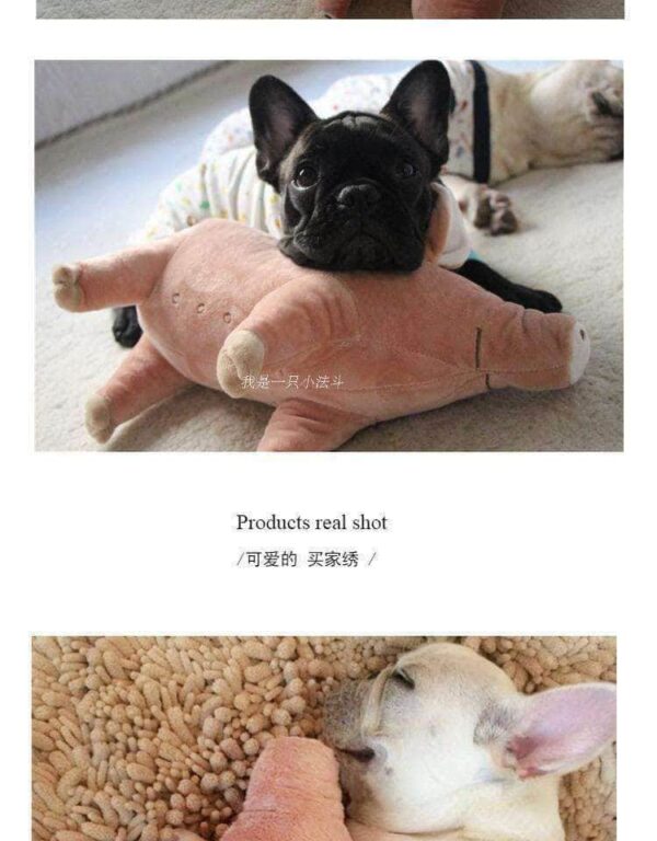 Bouledogue Avenue Pour Bouli Peluche Cochon