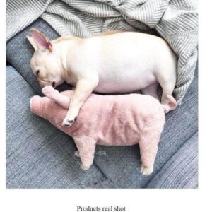 Bouledogue Avenue Pour Bouli Peluche Cochon