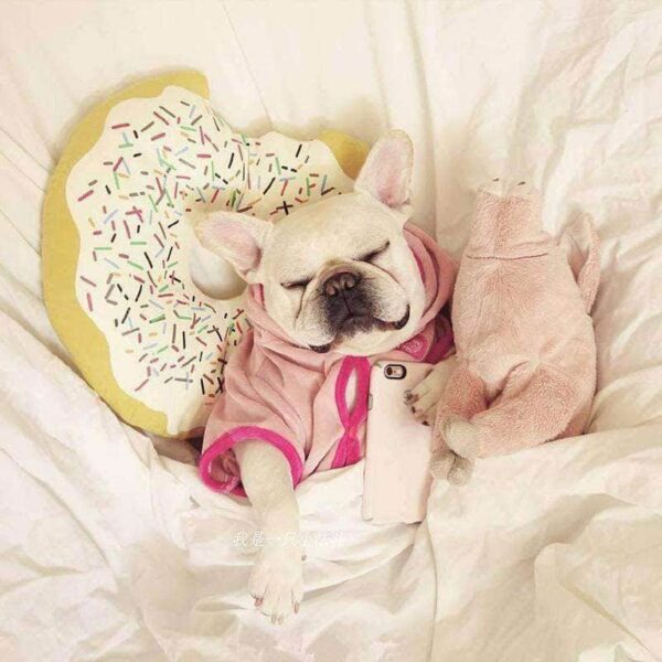 Bouledogue Avenue Pour Bouli Peluche Cochon