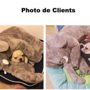 Bouledogue Avenue Peluche Eléphant Dodo Pour Chien