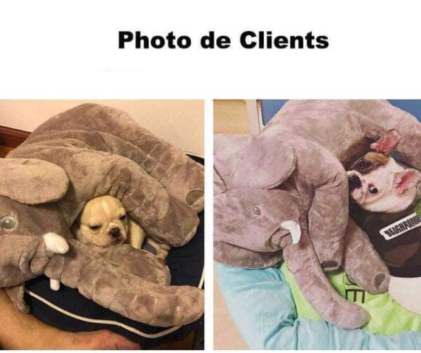 Bouledogue Avenue Peluche Eléphant Dodo Pour Chien