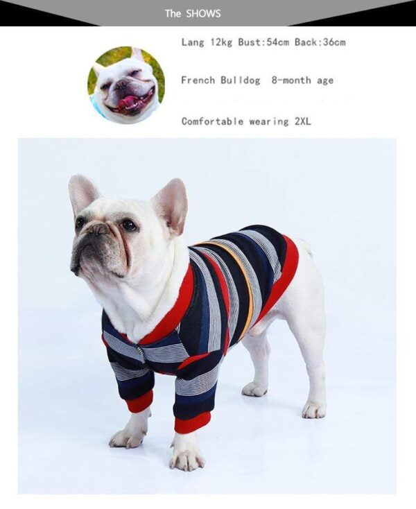 Bouledogue Avenue Polo Confortable pour Chien