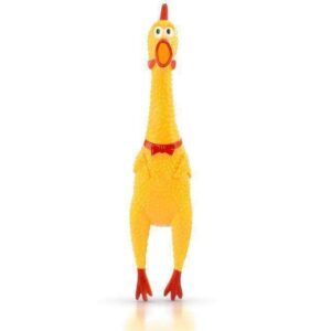 Bouledogue Avenue Pour Bouli Poulet Couineur