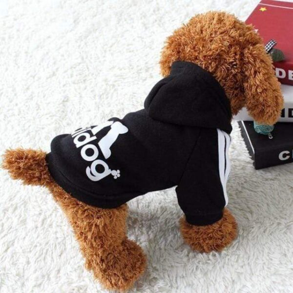 Bouledogue Avenue Pour Bouli black / XS  0-0.7kg Pull à Capuche Adidog