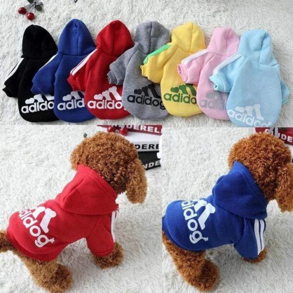 Bouledogue Avenue Pour Bouli Pull à Capuche Adidog