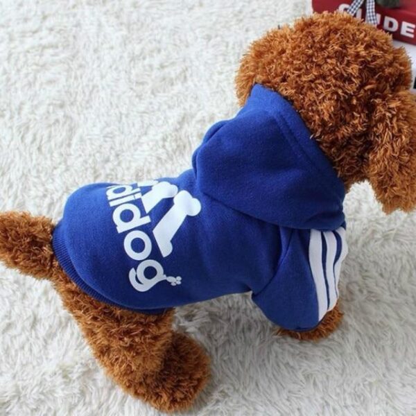 Bouledogue Avenue Pour Bouli Dark Blue / 9XL 31.5-35.5kg Pull à Capuche Adidog