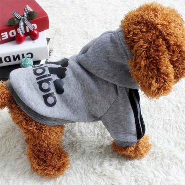 Bouledogue Avenue Pour Bouli gray / 9XL 31.5-35.5kg Pull à Capuche Adidog