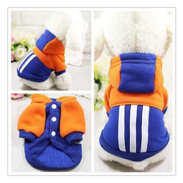 Bouledogue Avenue Pour Bouli Pull à Capuche Trois Bandes