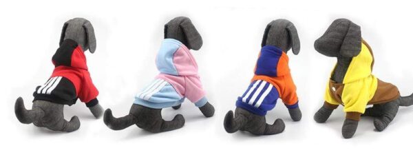Bouledogue Avenue Pour Bouli Pull à Capuche Trois Bandes