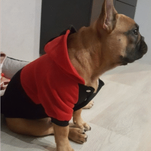Bouledogue Avenue Pour Bouli Pull à Capuche Trois Bandes