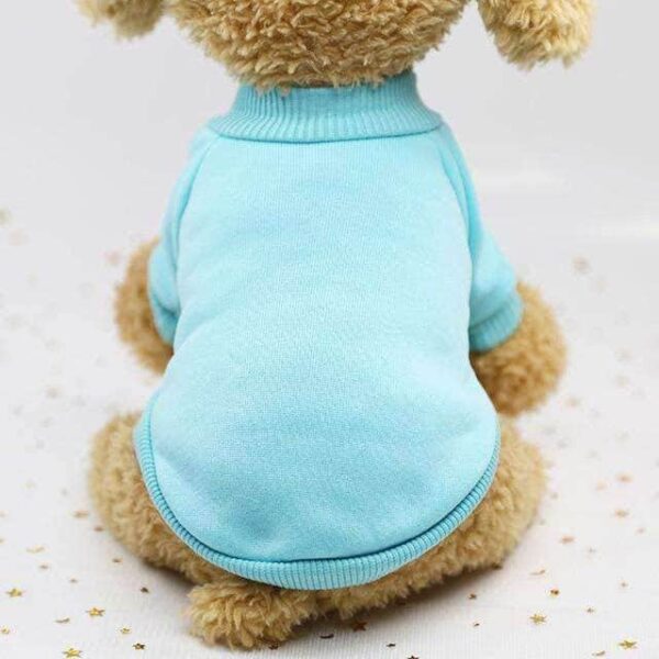 Bouledogue Avenue Pour Bouli Bleu / XS Pull à Col Roulé