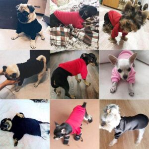 Bouledogue Avenue Pour Bouli Pull à Col Roulé