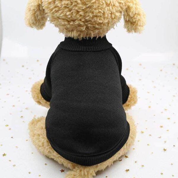 Bouledogue Avenue Pour Bouli Noir / XS Pull à Col Roulé