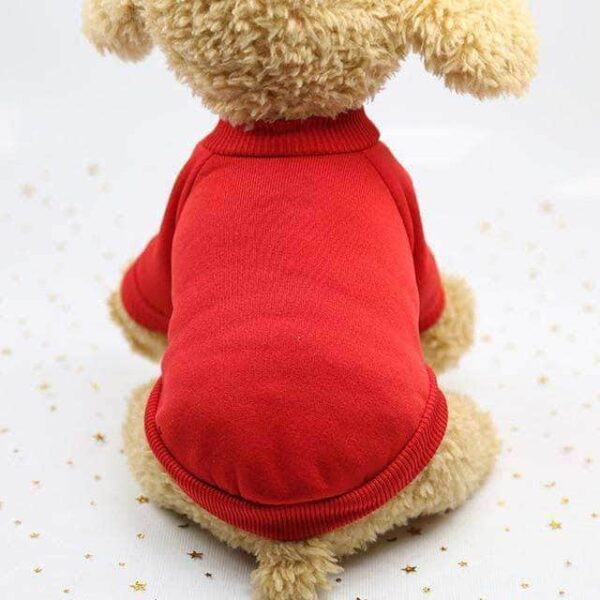 Bouledogue Avenue Pour Bouli Rouge / XS Pull à Col Roulé