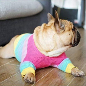 Bouledogue Avenue Pour Bouli Pull Arc-en-Ciel en Laine