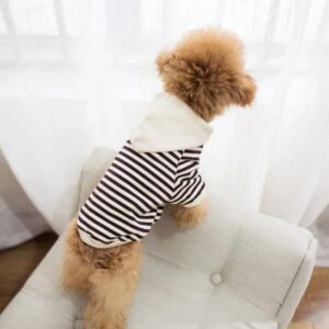 Pull Marinière à Capuche Pour Bouli