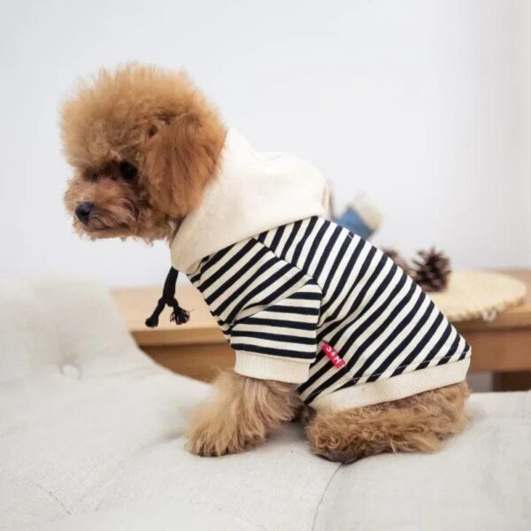 Pull Marinière à Capuche Pour Bouli