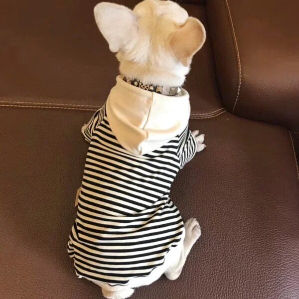 Pull Marinière à Capuche Pour Bouli