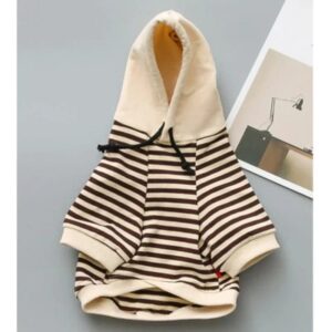 Pull Marinière à Capuche Pour Bouli Kaki / S