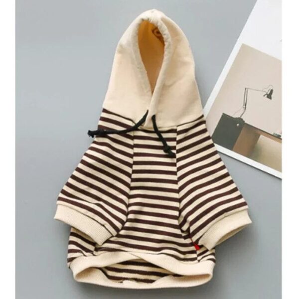 Pull Marinière à Capuche Pour Bouli Kaki / S