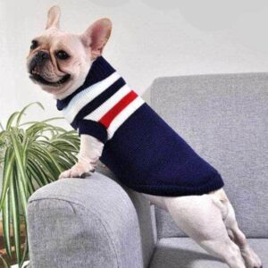 Bouledogue Avenue Pour Bouli Pull rayé en Coton
