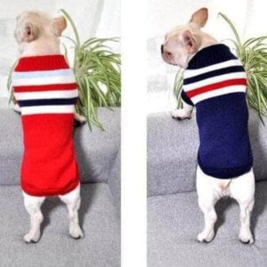 Bouledogue Avenue Pour Bouli Pull rayé en Coton