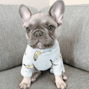 Pyjama D'hiver 'Oh Banana!' Pour Bouledogue francais Dog Apparel