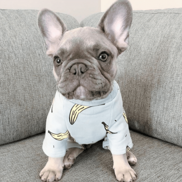 Pyjama D'hiver 'Oh Banana!' Pour Bouledogue francais Dog Apparel
