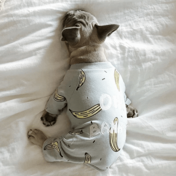 Pyjama D'hiver 'Oh Banana!' Pour Bouledogue francais Dog Apparel